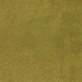Olive-green fabric swatch displaying a granular woven texture, with “egoitaliano blush 808” text at the bottom edge against a neutral backdrop.
